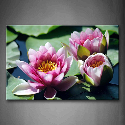 Three Flowers In Water In Pink Wall Art Painting The Picture Print On Canvas Flower Pictures For Home Decor Decoration Gift 