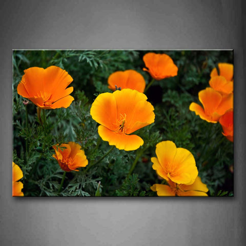 Litte Flowers In Orange In The Grass Wall Art Painting Pictures Print On Canvas Flower The Picture For Home Modern Decoration 
