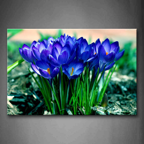 Bunch Of Blue Flowers In The Lawn Wall Art Painting Pictures Print On Canvas Flower The Picture For Home Modern Decoration 