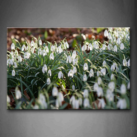 Dense Little Flowers In White With Fresh Leaves Wall Art Painting Pictures Print On Canvas Flower The Picture For Home Modern Decoration 