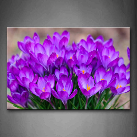 Bunch Of Dark Purple Flowers  Wall Art Painting The Picture Print On Canvas Flower Pictures For Home Decor Decoration Gift 