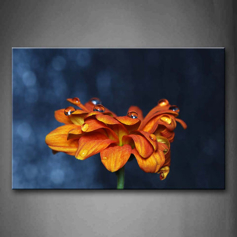 Flower In Orange With Waterdrops On It Wall Art Painting Pictures Print On Canvas Flower The Picture For Home Modern Decoration 