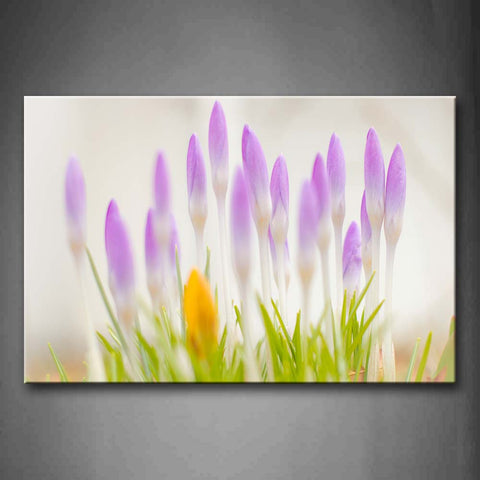 Fresh Plants With Purple Buds  Wall Art Painting The Picture Print On Canvas Flower Pictures For Home Decor Decoration Gift 