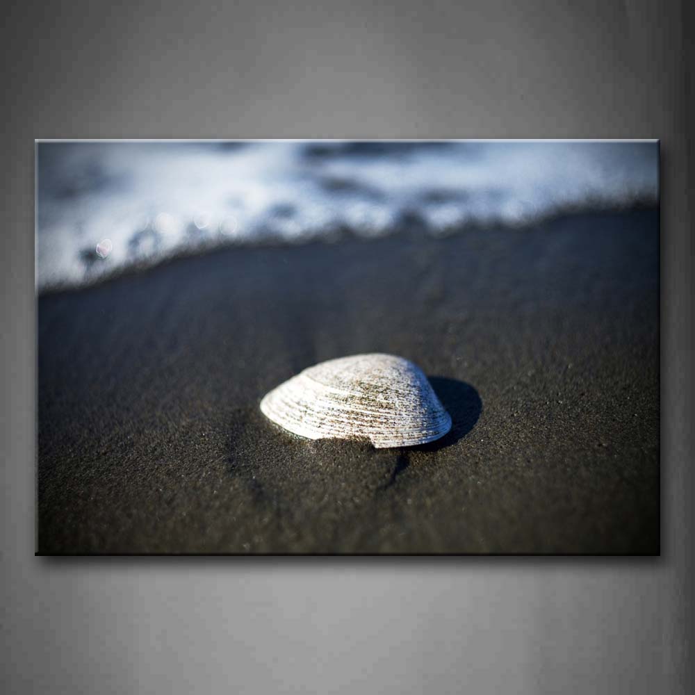 White Shell On The Quiet Beach Wall Art Painting Pictures Print On Canvas Seascape The Picture For Home Modern Decoration 