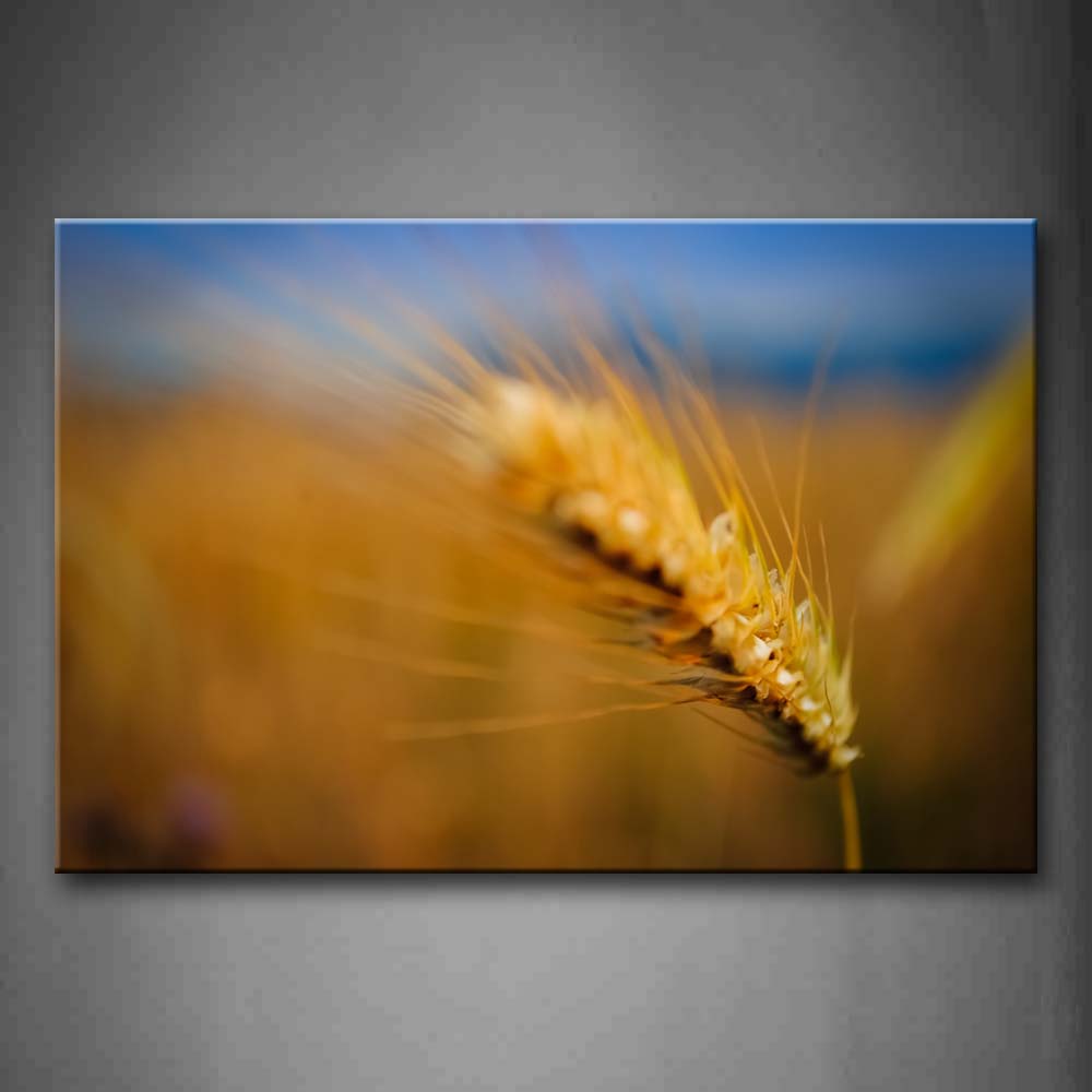 Brown Bright Yellow Wheat Wall Art Painting The Picture Print On Canvas Botanical Pictures For Home Decor Decoration Gift 