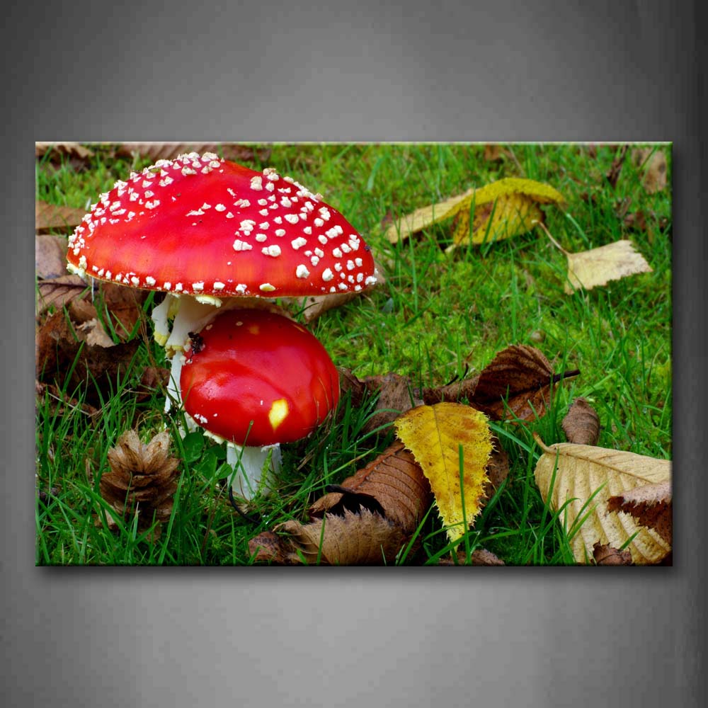 Dry Leaves Fresh Lawn And Mushroom In Red Wall Art Painting The Picture Print On Canvas Flower Pictures For Home Decor Decoration Gift 