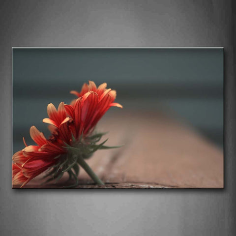 Beautiful Herbera In Red On The Ground Wall Art Painting The Picture Print On Canvas Flower Pictures For Home Decor Decoration Gift 