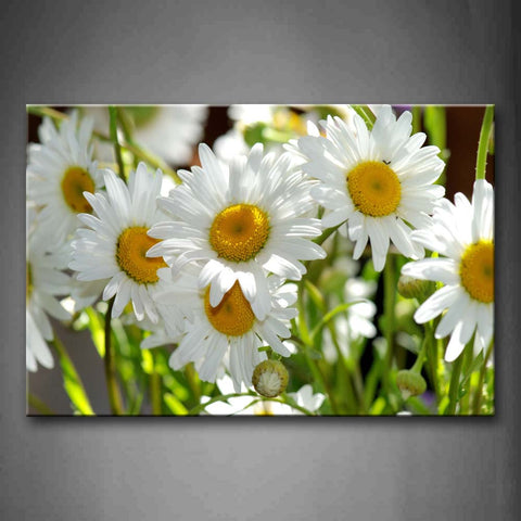 White Flowers With Yellow Hearts Wall Art Painting Pictures Print On Canvas Flower The Picture For Home Modern Decoration 