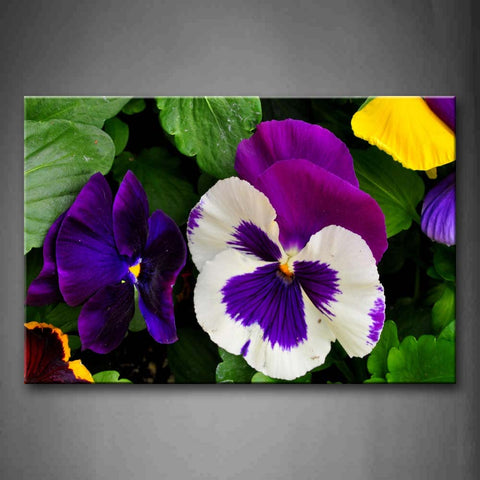 Pansy In Purple White And Yellow Wall Art Painting The Picture Print On Canvas Flower Pictures For Home Decor Decoration Gift 