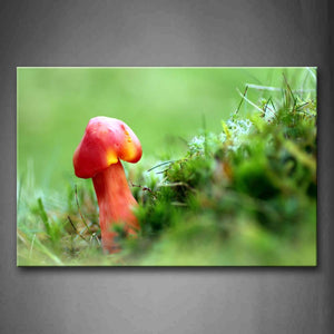 Little Mushroom In Bright Red In The Lawn Wall Art Painting Pictures Print On Canvas Botanical The Picture For Home Modern Decoration 