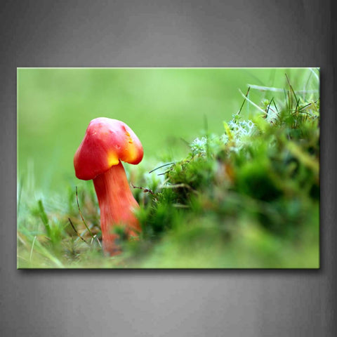 Little Mushroom In Bright Red In The Lawn Wall Art Painting Pictures Print On Canvas Botanical The Picture For Home Modern Decoration 