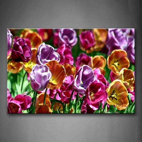 Slice Of Tulips In Different Color Wall Art Painting The Picture Print On Canvas Flower Pictures For Home Decor Decoration Gift 