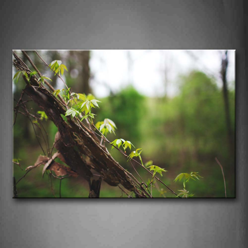 Light Green Leaves On The Dry Trunk Wall Art Painting The Picture Print On Canvas Botanical Pictures For Home Decor Decoration Gift 