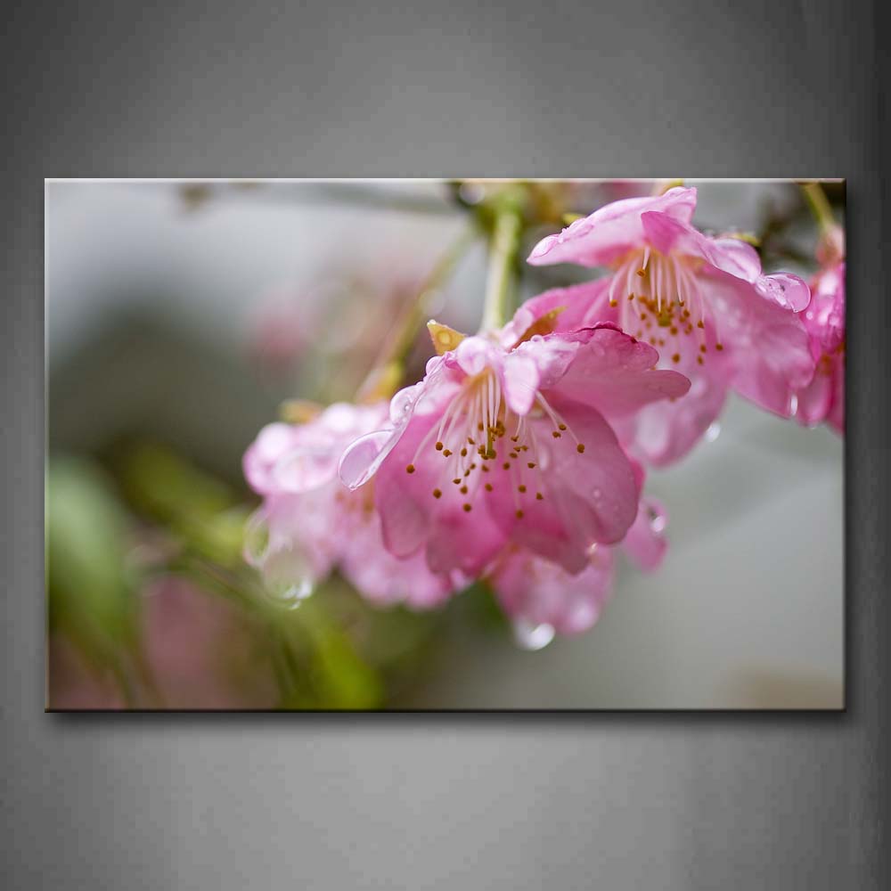 Bunch Of Pink Flowers With Waterdrops Wall Art Painting The Picture Print On Canvas Flower Pictures For Home Decor Decoration Gift 