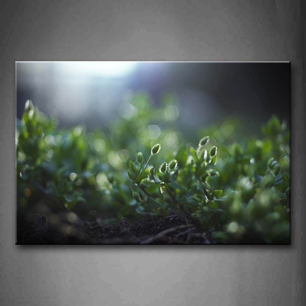 Bright Sunbeam And Fresh Grasses Wall Art Painting Pictures Print On Canvas Botanical The Picture For Home Modern Decoration 