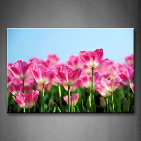 Slice Of Flowers In Pretty Pink  Wall Art Painting The Picture Print On Canvas Flower Pictures For Home Decor Decoration Gift 