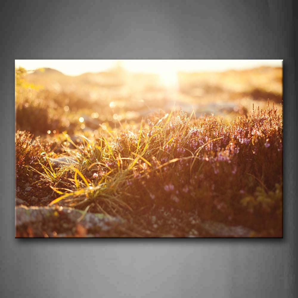 Brown Dnese Grasses And Bright Sunbeam In Field Wall Art Painting Pictures Print On Canvas Flower The Picture For Home Modern Decoration 