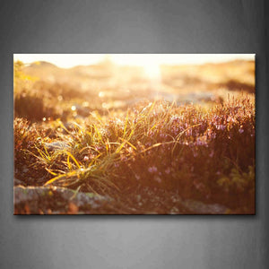 Brown Dnese Grasses And Bright Sunbeam In Field Wall Art Painting Pictures Print On Canvas Flower The Picture For Home Modern Decoration 