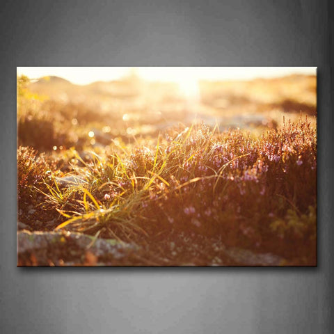 Brown Dnese Grasses And Bright Sunbeam In Field Wall Art Painting Pictures Print On Canvas Flower The Picture For Home Modern Decoration 