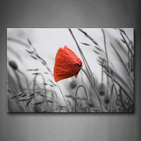 Beautiful Poppy In Bright Red In The Lawn Wall Art Painting The Picture Print On Canvas Flower Pictures For Home Decor Decoration Gift 