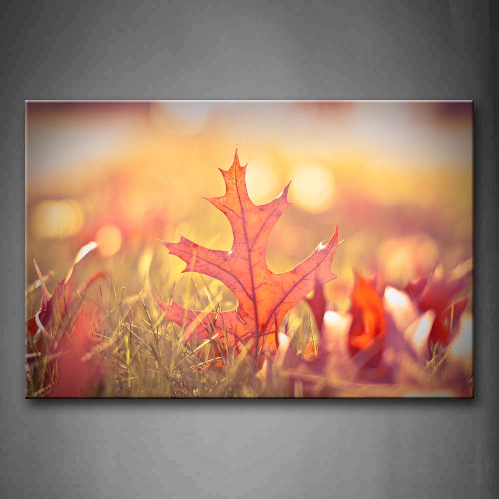 Maple Leaves On The Lawn In Red Wall Art Painting Pictures Print On Canvas Botanical The Picture For Home Modern Decoration 