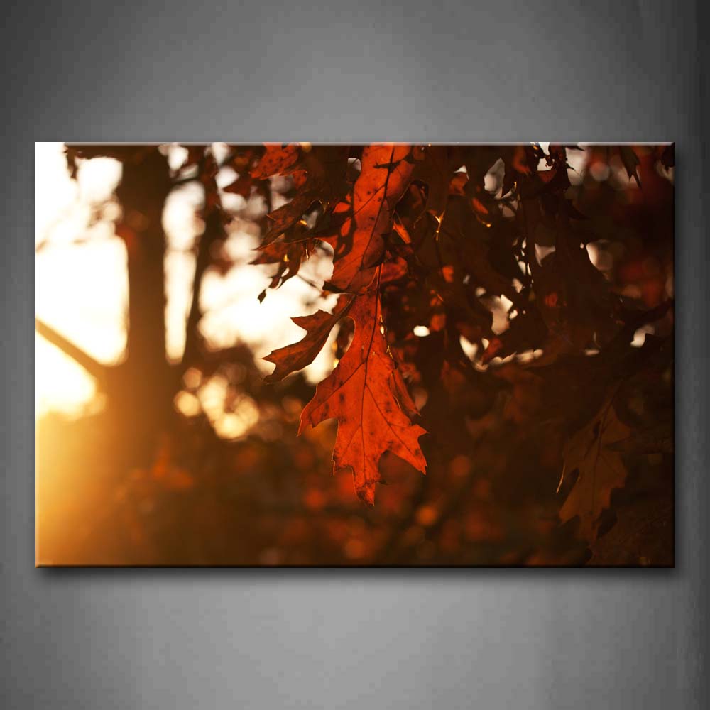 Bright Red Leaves On The Tree Bright Sunbeam Wall Art Painting Pictures Print On Canvas Landscape The Picture For Home Modern Decoration 