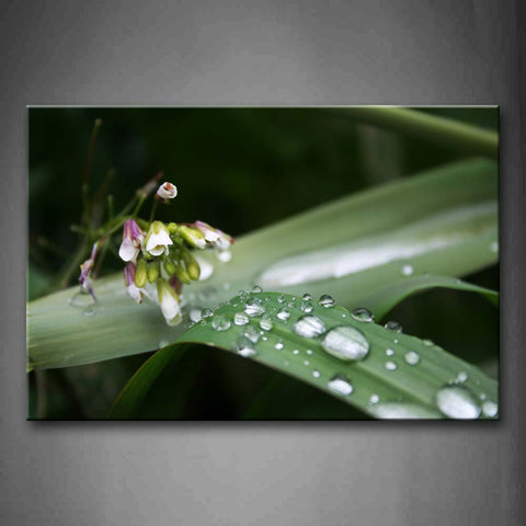 Waterdrops On The Leaves In Light Green Wall Art Painting The Picture Print On Canvas Botanical Pictures For Home Decor Decoration Gift 