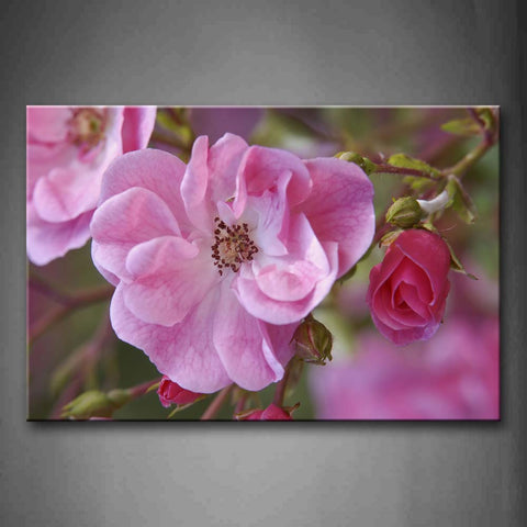 Beautiful Flowers In Bright Pink Wall Art Painting The Picture Print On Canvas Flower Pictures For Home Decor Decoration Gift 