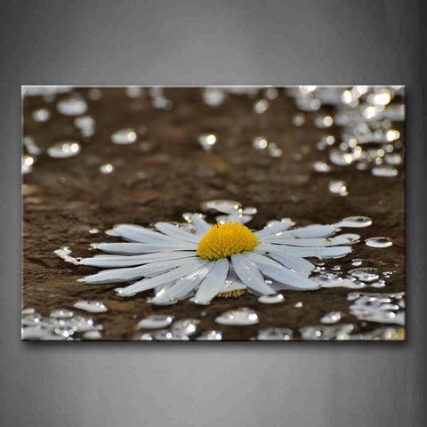 Big Daisy On The Ground With Many Waterdrops Wall Art Painting The Picture Print On Canvas Flower Pictures For Home Decor Decoration Gift 