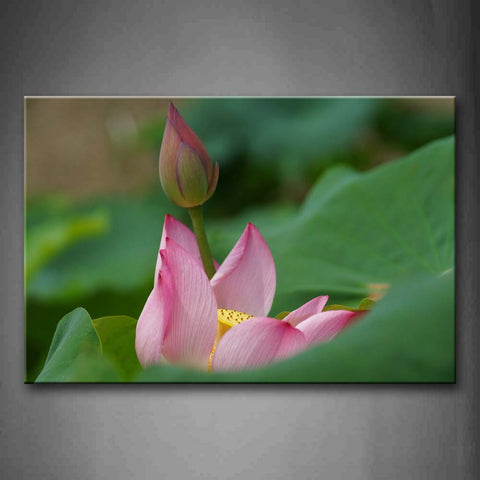 Lotus In Pink With Huge And Fresh Leaves Wall Art Painting Pictures Print On Canvas Flower The Picture For Home Modern Decoration 