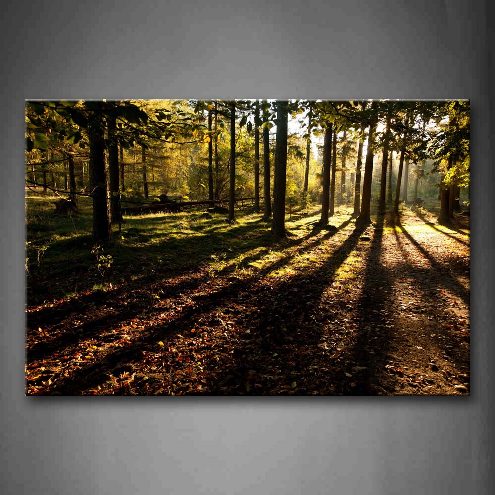 Forest With Lush Trees And Bright Sunbeam Wall Art Painting The Picture Print On Canvas Landscape Pictures For Home Decor Decoration Gift 