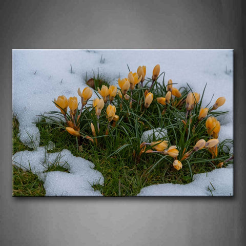 Little Slice Of Pretty Flowers In Orange  Wall Art Painting The Picture Print On Canvas Flower Pictures For Home Decor Decoration Gift 