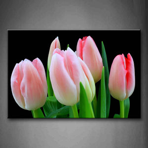 Beautiful Flowers In Pink And White With Fresh Leaves Wall Art Painting Pictures Print On Canvas Flower The Picture For Home Modern Decoration 