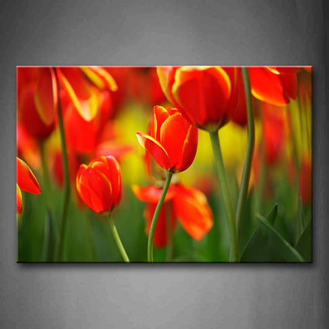 Flowers In Bright Red Wall Art Painting The Picture Print On Canvas Flower Pictures For Home Decor Decoration Gift 