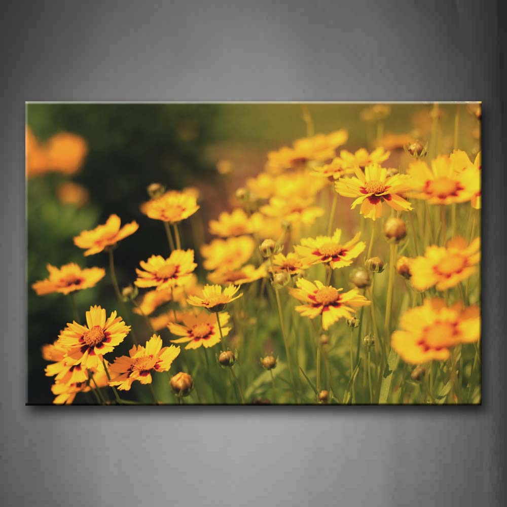 Slice Of Daisy Flowers  Wall Art Painting Pictures Print On Canvas Flower The Picture For Home Modern Decoration 