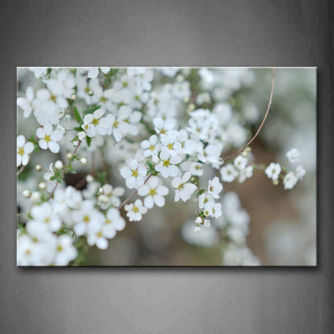 Lush Flowers In White Look Pretty Wall Art Painting Pictures Print On Canvas Flower The Picture For Home Modern Decoration 