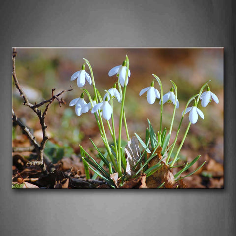 Light Blue Flowers In The Ground  Wall Art Painting Pictures Print On Canvas Flower The Picture For Home Modern Decoration 