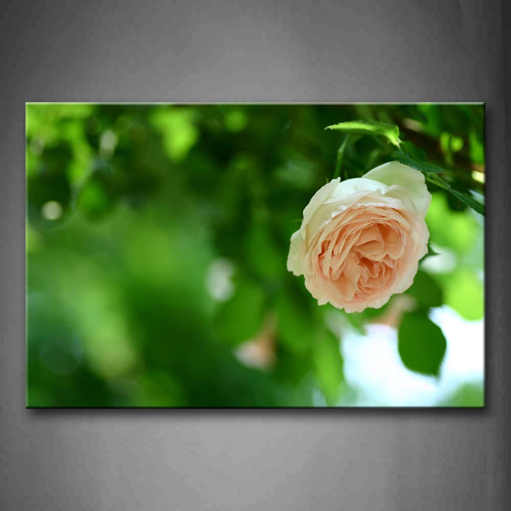 Pink Rose In The Trees With Light Green Leaves Wall Art Painting Pictures Print On Canvas Flower The Picture For Home Modern Decoration 