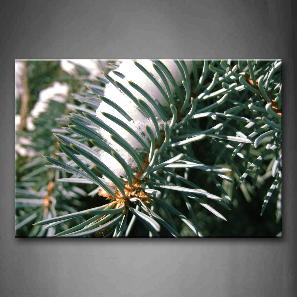 Leaves Close Up With Snow On Them Wall Art Painting Pictures Print On Canvas Botanical The Picture For Home Modern Decoration 