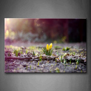 Ground With Bare Plants With Little Yellow Flowers Wall Art Painting Pictures Print On Canvas Botanical The Picture For Home Modern Decoration 