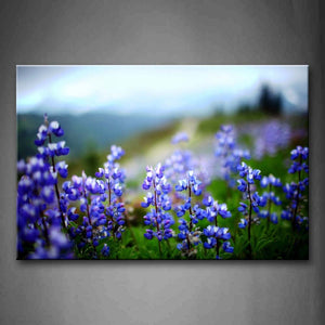 Lavenders In Dark Blue In The Lawn Wall Art Painting The Picture Print On Canvas Flower Pictures For Home Decor Decoration Gift 