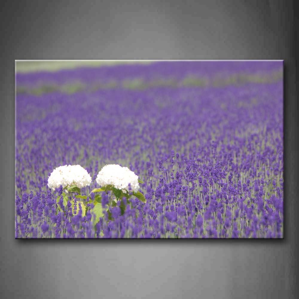 Slice Of Purple Flowers With Two White Flowers Wall Art Painting Pictures Print On Canvas Flower The Picture For Home Modern Decoration 