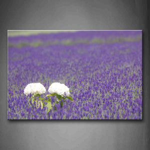 Slice Of Purple Flowers With Two White Flowers Wall Art Painting Pictures Print On Canvas Flower The Picture For Home Modern Decoration 