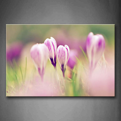 Pink Buds In White And Purple Bright Sunbeam Wall Art Painting Pictures Print On Canvas Flower The Picture For Home Modern Decoration 