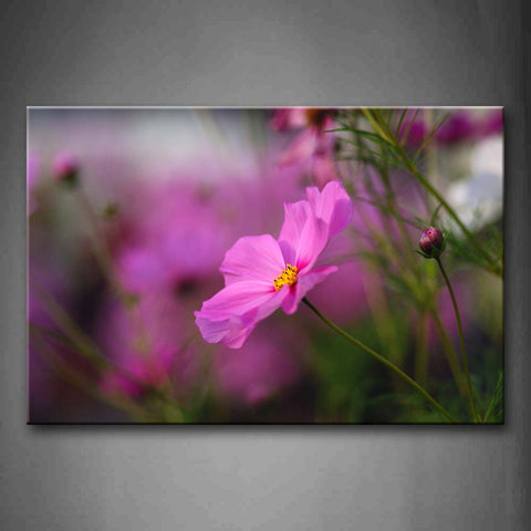 Fresh Plants With Pretty Flowers In Pink Wall Art Painting Pictures Print On Canvas Flower The Picture For Home Modern Decoration 