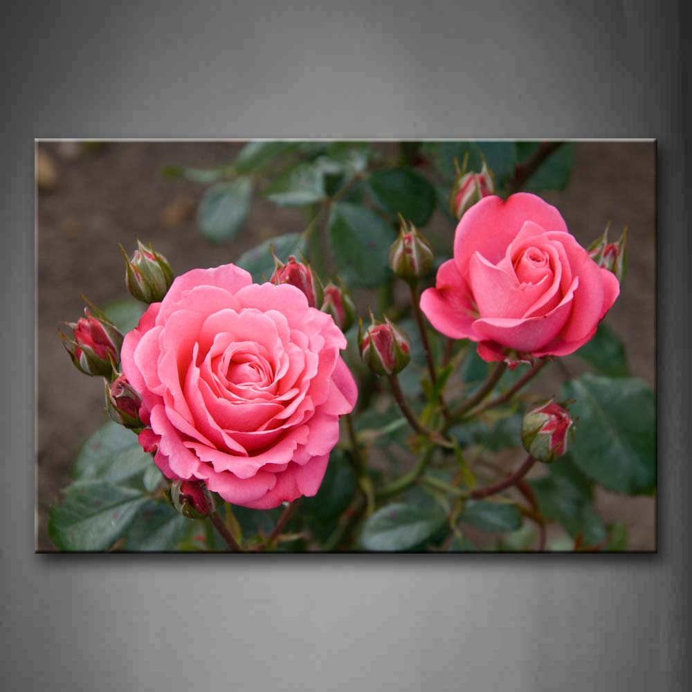 Pink Two Roses In The Plants With Buds Wall Art Painting The Picture Print On Canvas Flower Pictures For Home Decor Decoration Gift 