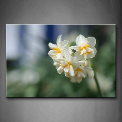 Bunch Of White Flowers With Yellow Hearts Wall Art Painting Pictures Print On Canvas Flower The Picture For Home Modern Decoration 
