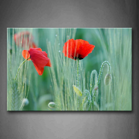 Beautiful Poppies In Bright Red With Leaves Wall Art Painting Pictures Print On Canvas Flower The Picture For Home Modern Decoration 
