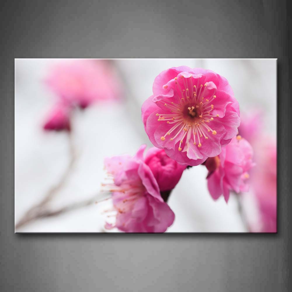 Bunch Of Beautiful Flowers In Bright Pink Wall Art Painting The Picture Print On Canvas Flower Pictures For Home Decor Decoration Gift 