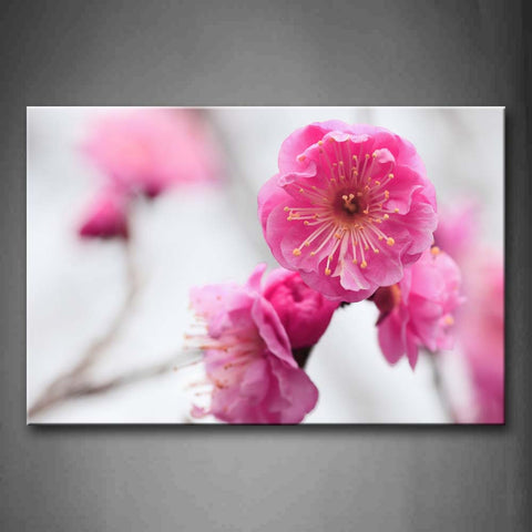 Bunch Of Beautiful Flowers In Bright Pink Wall Art Painting The Picture Print On Canvas Flower Pictures For Home Decor Decoration Gift 